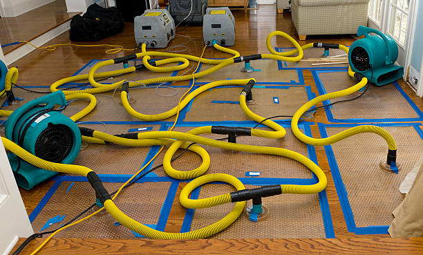 Professional Structural Drying And Dehumidification technician working in Woodward, IA